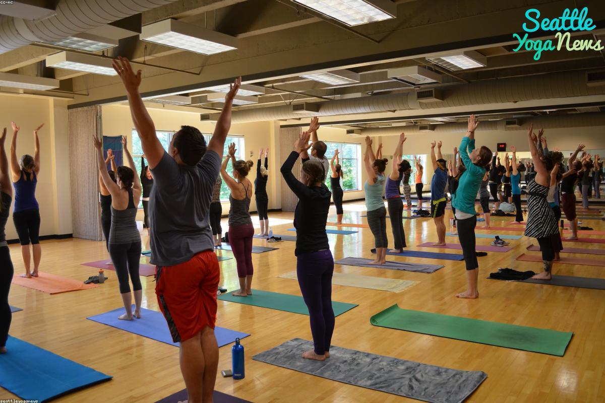 Yoga Poses for Beginners with Pictures