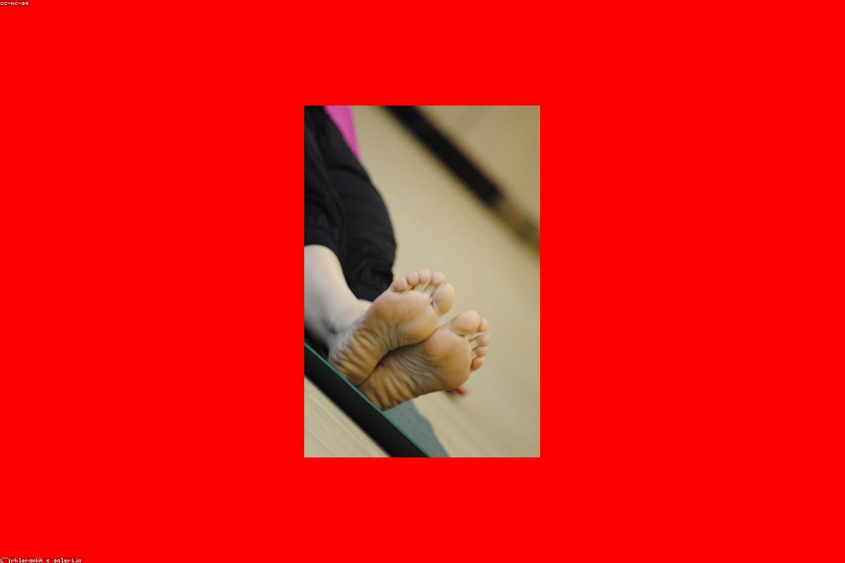 Yoga Equipment for Beginners: What Do You Actually Need?
